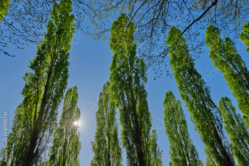 Parc de Sceaux, Paris France photo