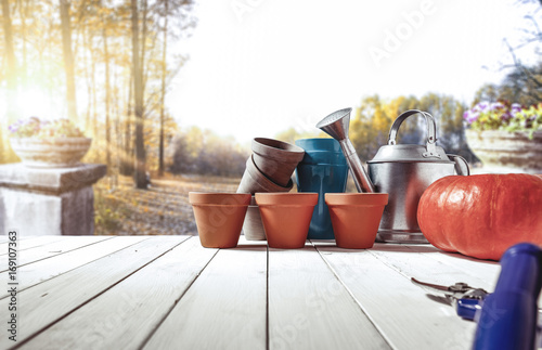 autumn garden