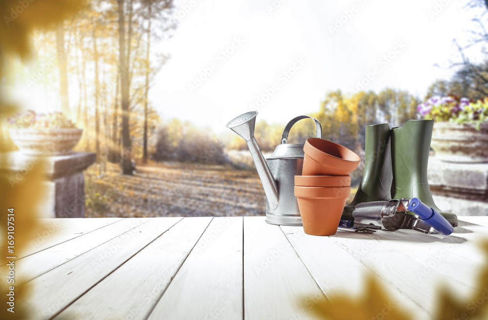 Fototapeta premium autumn garden
