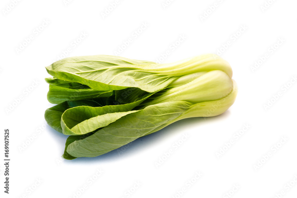 pak choi pak choy pak-choi isoliert freigestellt auf weißen Hintergrund, Freisteller
pak choi pak choy pak-choi isoliert freigestellt auf weißen Hintergrund, Freisteller