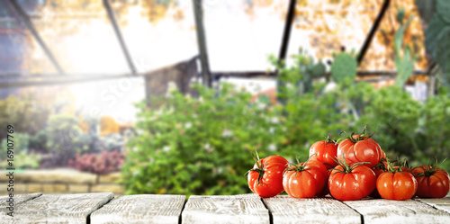 Fotografie vegetables and table