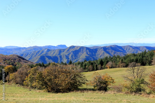 campagna vicino foce del tevere photo