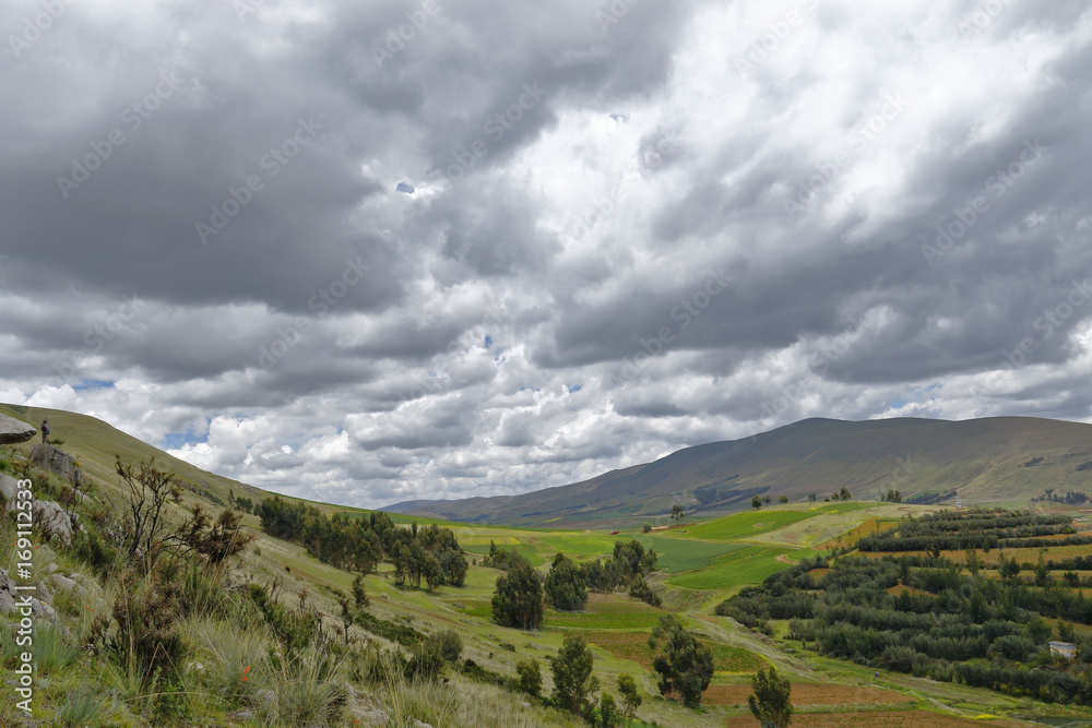 Naklejka premium Fundo la cosecha del futuro