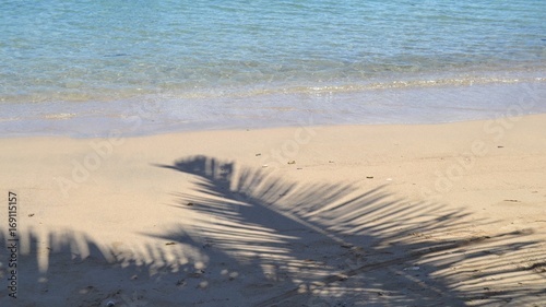 Ombre de palme sur une plage des Caraibes © Audrey