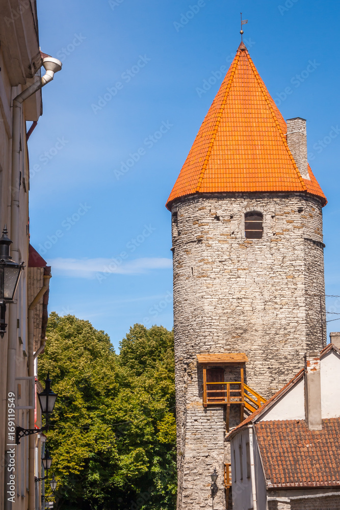 Obraz premium Tallin Panoramic View, Estonia