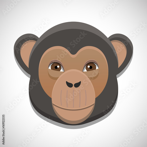 Vector drawing the head of a monkey, chimpanzee