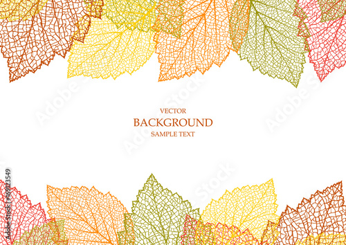 Autumn background with leaves 