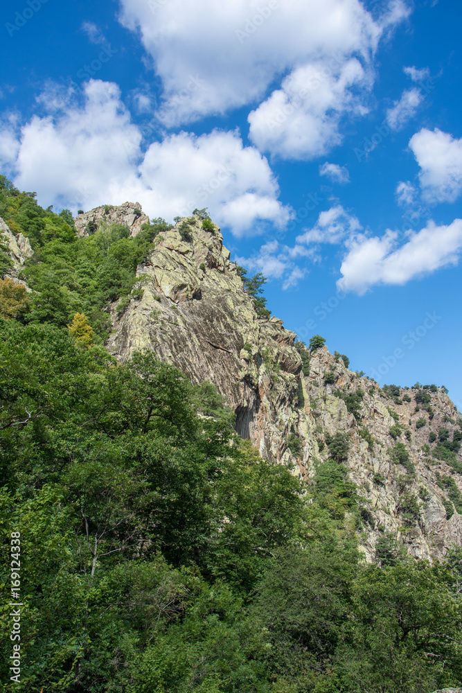 pyrénées