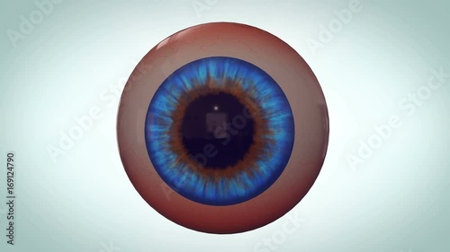 Abstract eyeball with red veins looks around