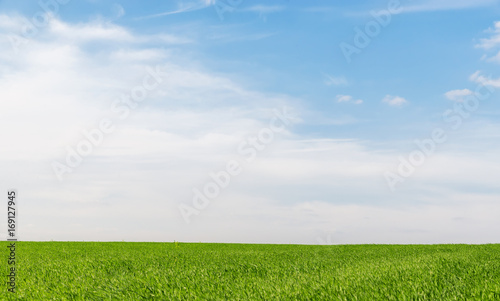 blue sky with clouds in sunset over green grass field