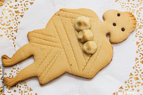 Tipical biscuit of Frascati (Lazio) photo