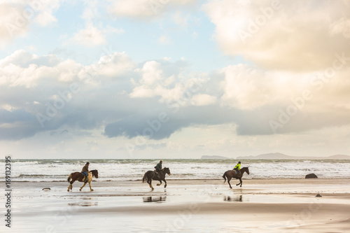 Horses at gallop on the beach at sunset