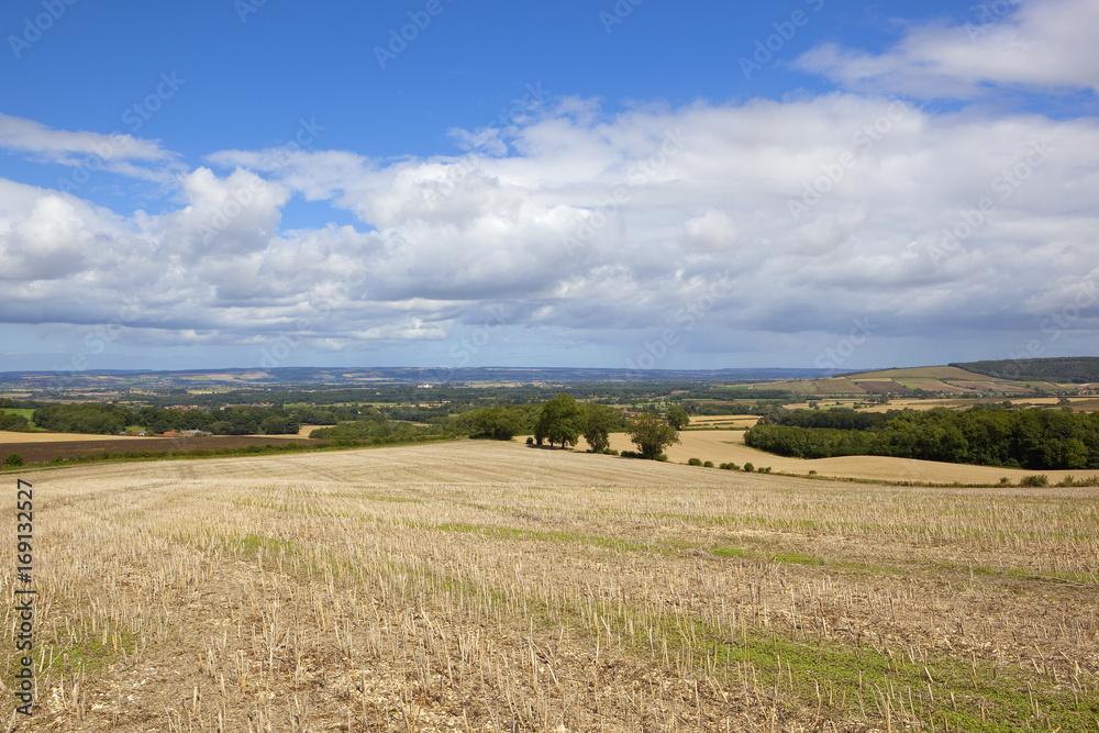 agricultural countryside vista