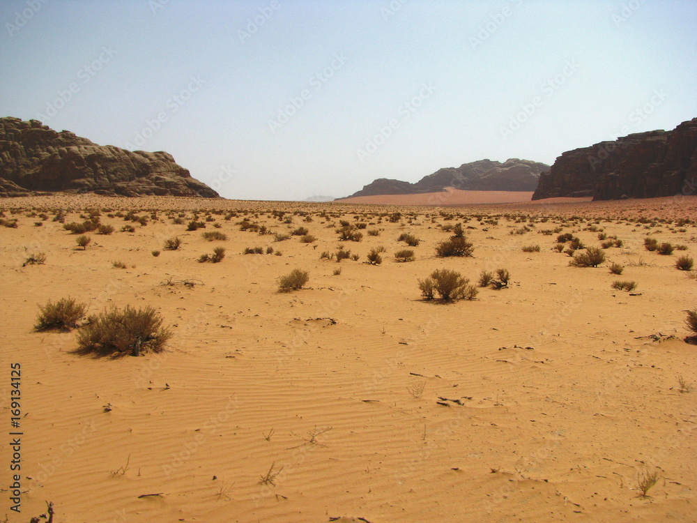 Dune in Wadi Rum, Jordan.