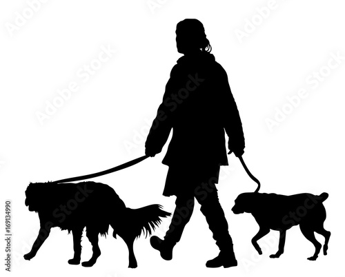 Owner girl walking with dogs vector silhouette illustration, isolated on white background.