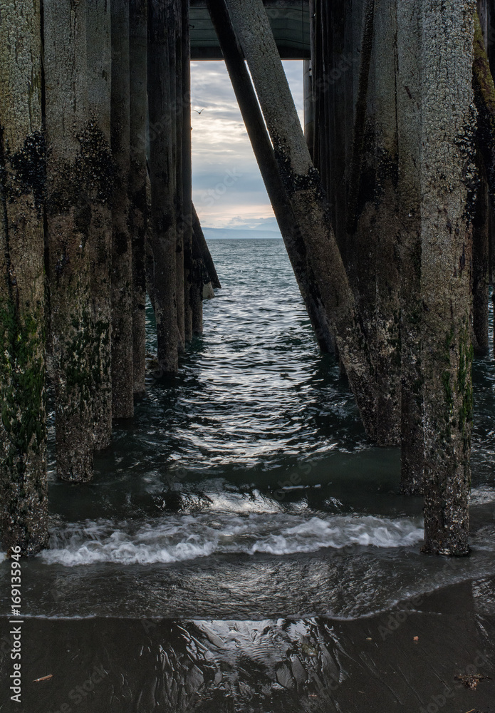 Path to the sea between dock pilings Path to the sea between dock pilings