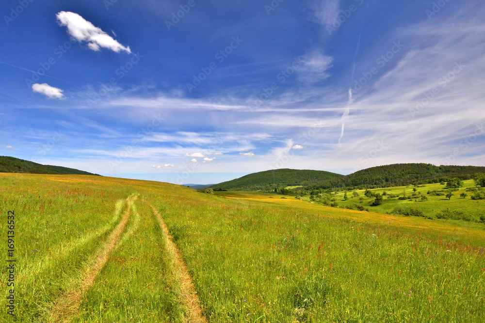 Fototapeta premium Rural landscape in countryside of Beskid Niski, Poland