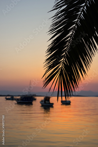 Black silhouette of palm leaf with boats in the sea at sunset in summer with mountains on background close-up shallow depth of field