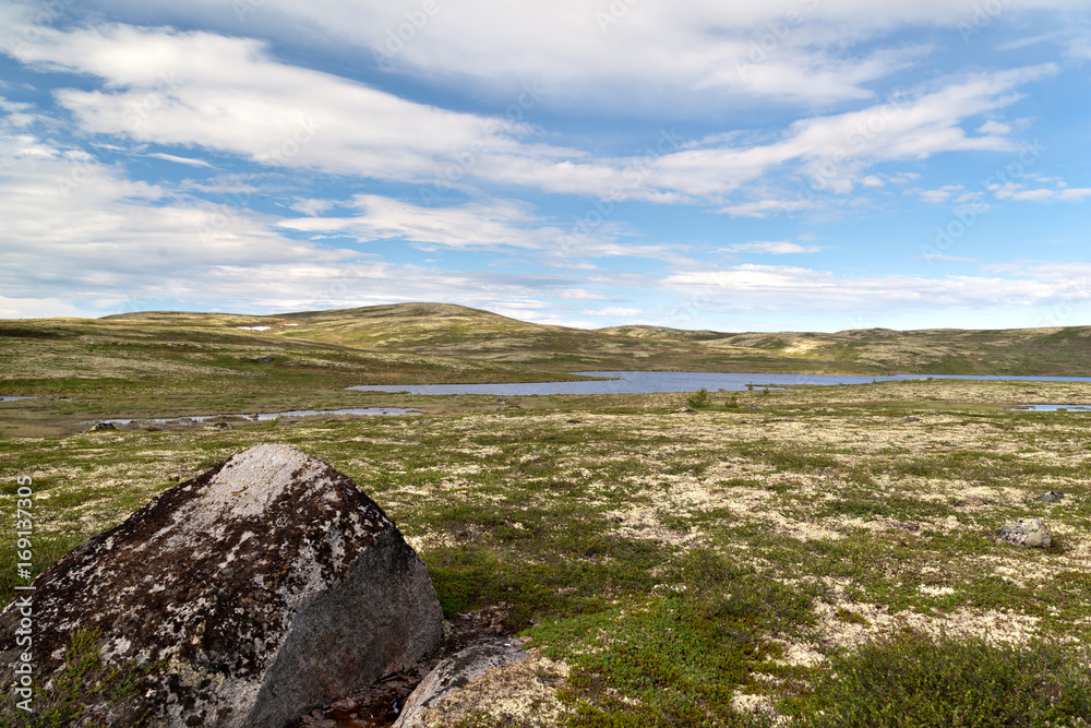 barren tundra landscape landscape in the north of Russia