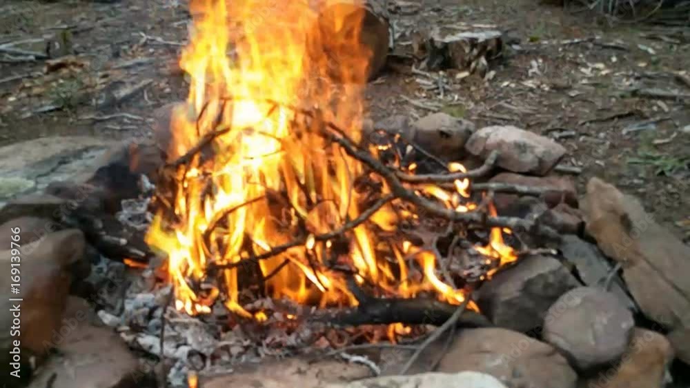 Close up and slow motion of burning wood in fire pit in pine forest. High angle view. A lot of thin wood stick quickly burning. Close up and slow motion of burning wood in fire pit in pine forest. High angle view. A lot of thin wood stick quickly burning.
