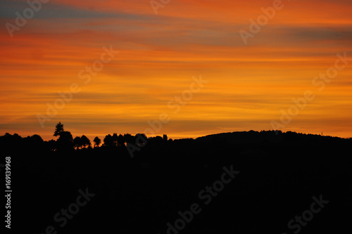Fototapeta Naklejka Na Ścianę i Meble -  Orange sunset background and tree silhouettes