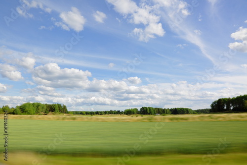 Fototapeta Naklejka Na Ścianę i Meble -  Beautifiull view on a field on a summer day