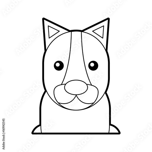 Wild lioness isolated icon vector illustration design