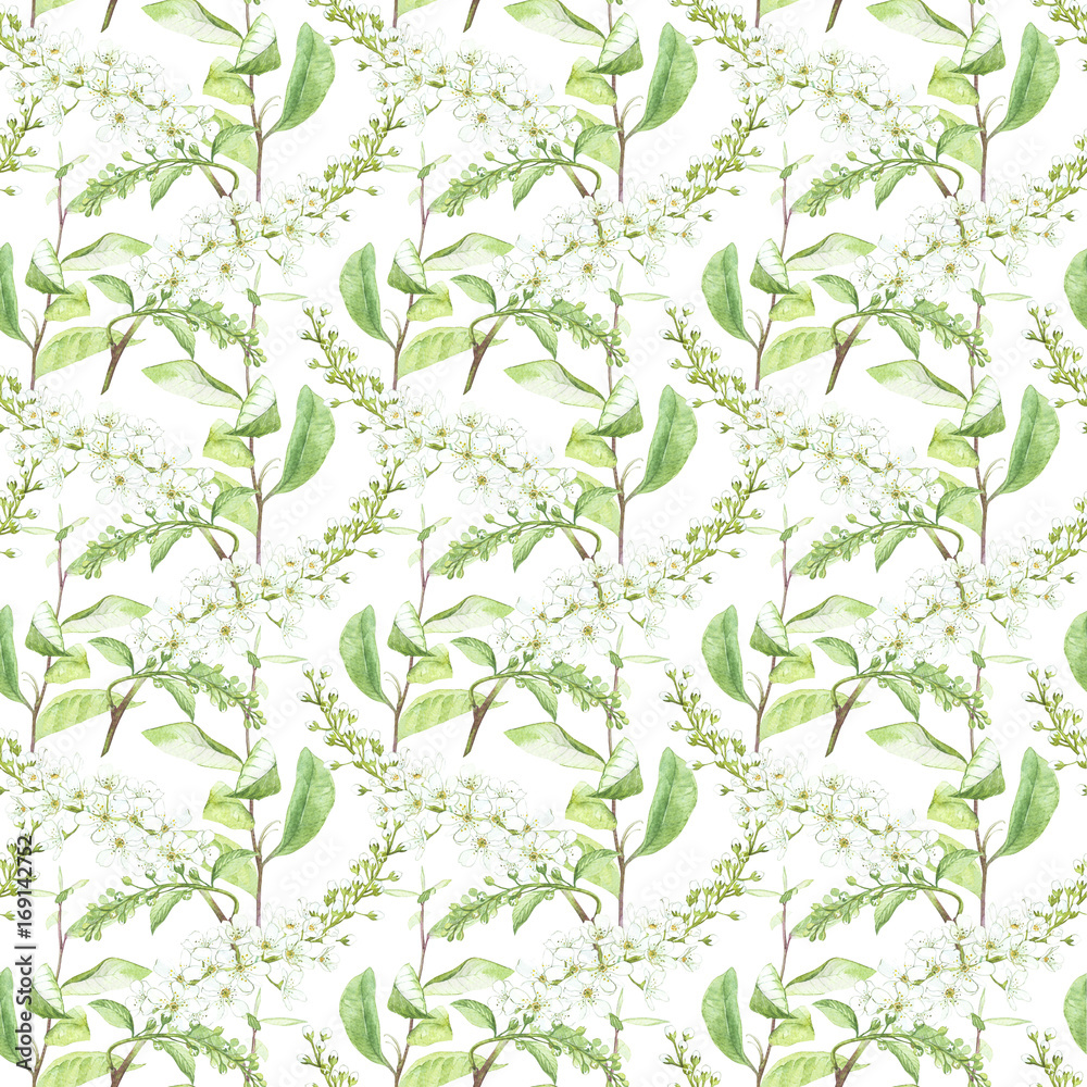 Illustration in watercolor of a Bird-cherry tree. Floral card with flowers. Botanical illustration seamless pattern. Illustration in watercolor of a Bird-cherry tree. Floral card with flowers. Botanical illustration seamless pattern.