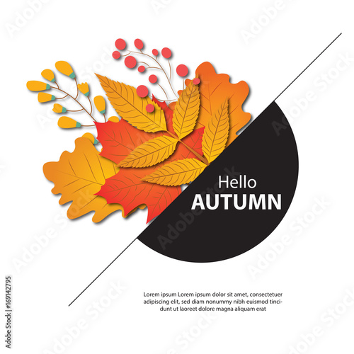 HELLO AUTUMUN
