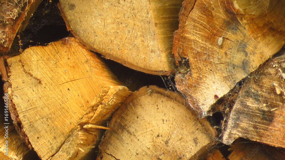 Naklejka premium Close Wood pile