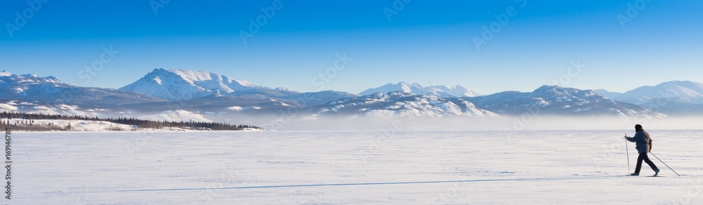 Cross-Country Skier long shadow Cross-Country Skier long shadow