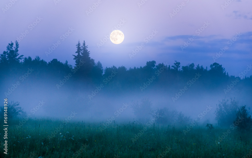 Full Moon Fog Full Moon Fog