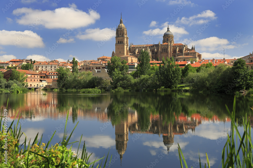 Salamanca Old and New Cathedrals reflected on Tormes River