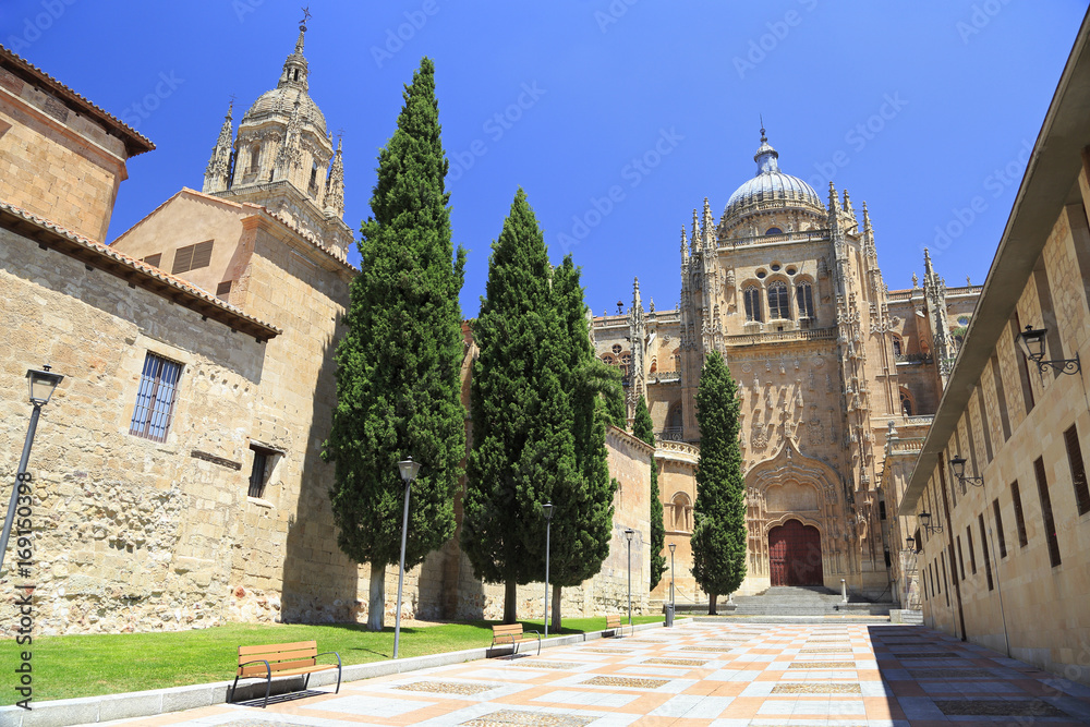 Salamanca New and Old Cathedrals, Spain