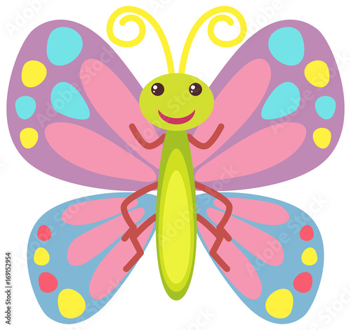 Canvas Print Colorful butterfly with happy face