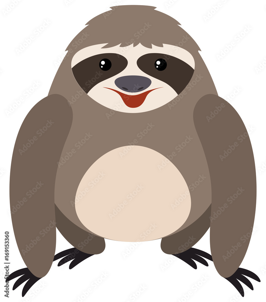 Fototapeta premium Sloth on white background