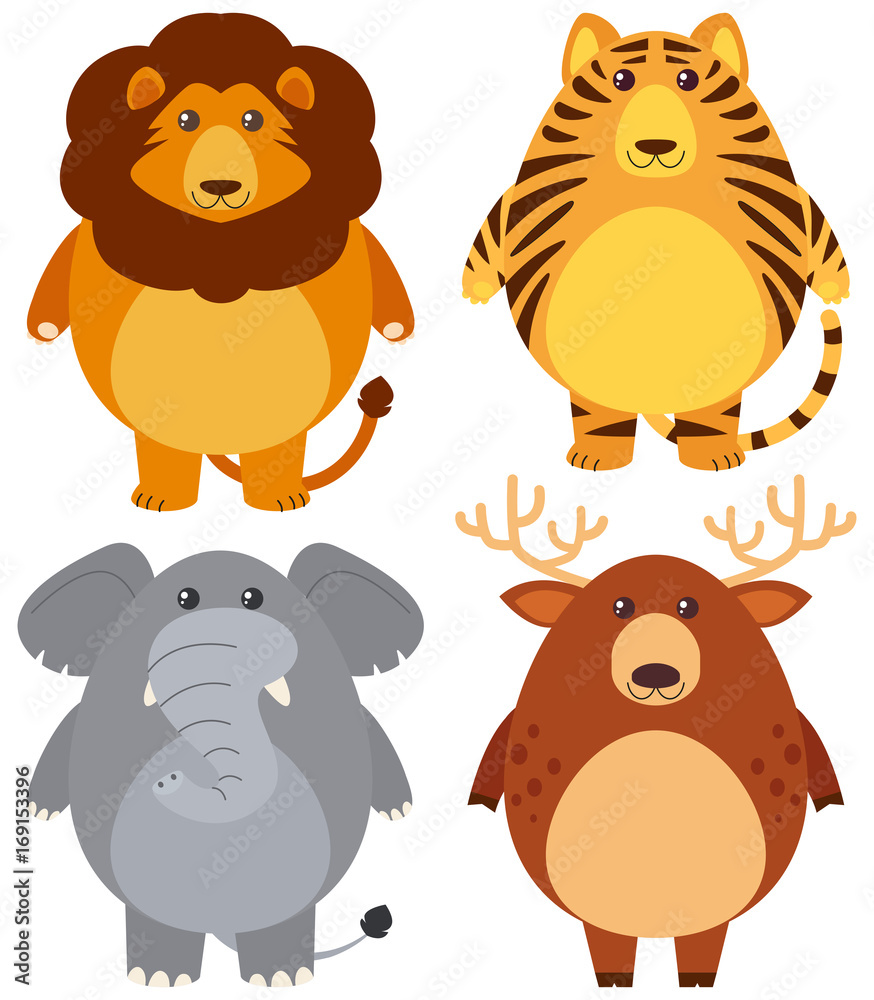 Fototapeta premium Four different wild animals with happy face