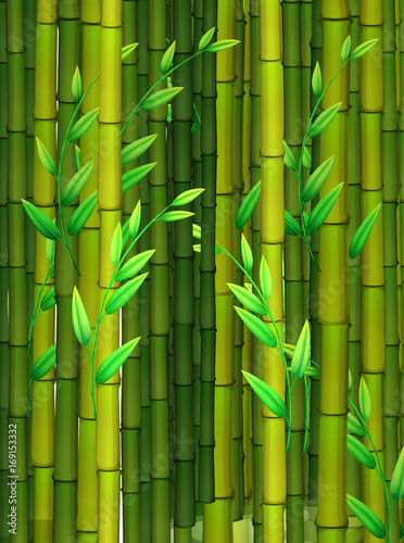Seamless background with green bamboo