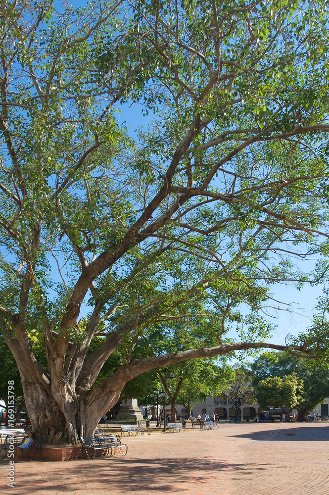 Dominican Republic - Santo Domingo - Tropical island of the Caribbean Sea - Parque Colon Dominican Republic - Santo Domingo - Tropical island of the Caribbean Sea - Parque Colon