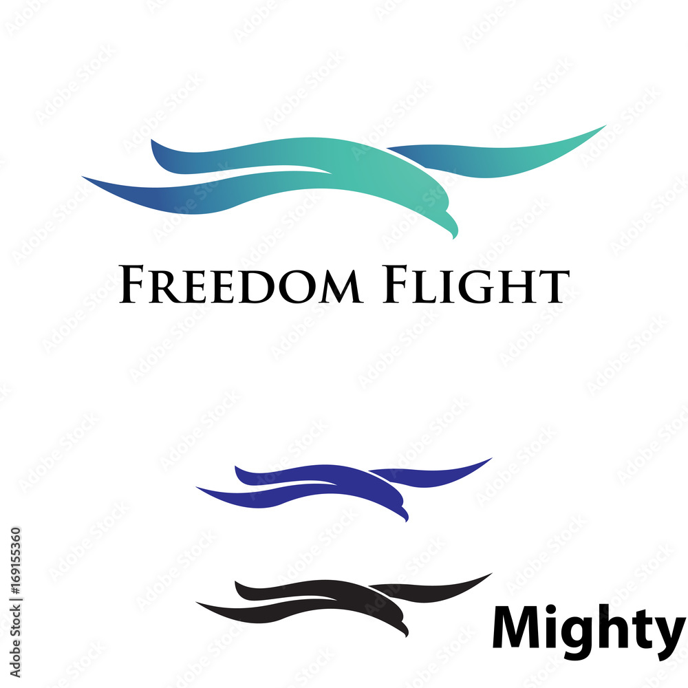 Fototapeta premium Freedom Flying Flight Eagle Hawk Seagull