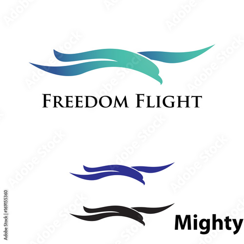 Freedom Flying Flight Eagle Hawk Seagull