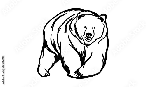 Bear Logo