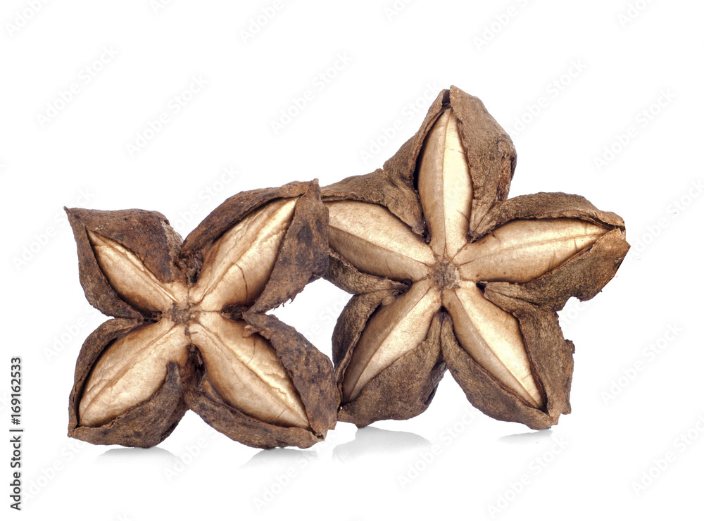 Sacha inchi peanut seed isolate on white background Sacha inchi peanut seed isolate on white background