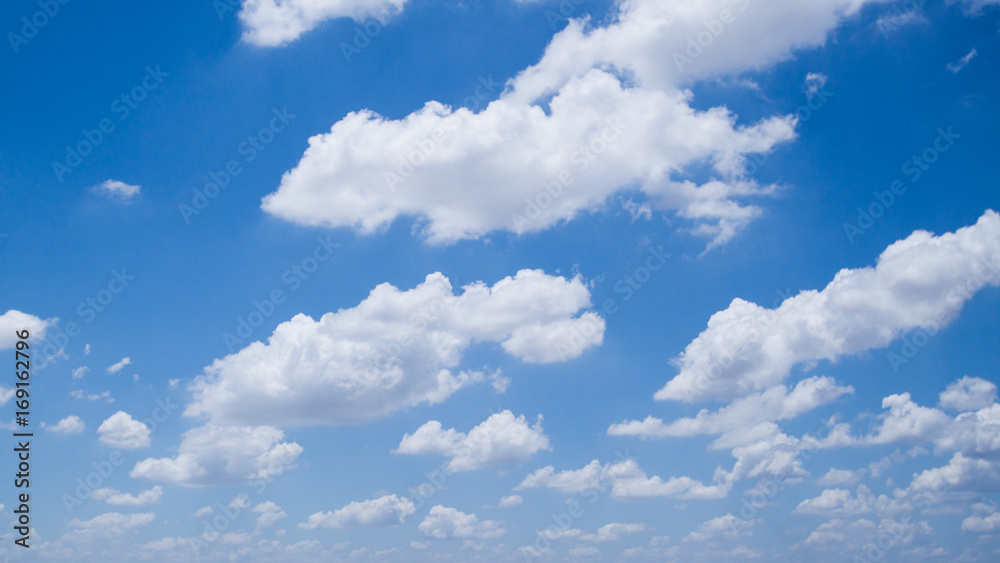 Fototapeta premium Jasne niebo