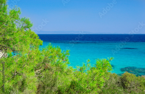 Sea coast under blue sky