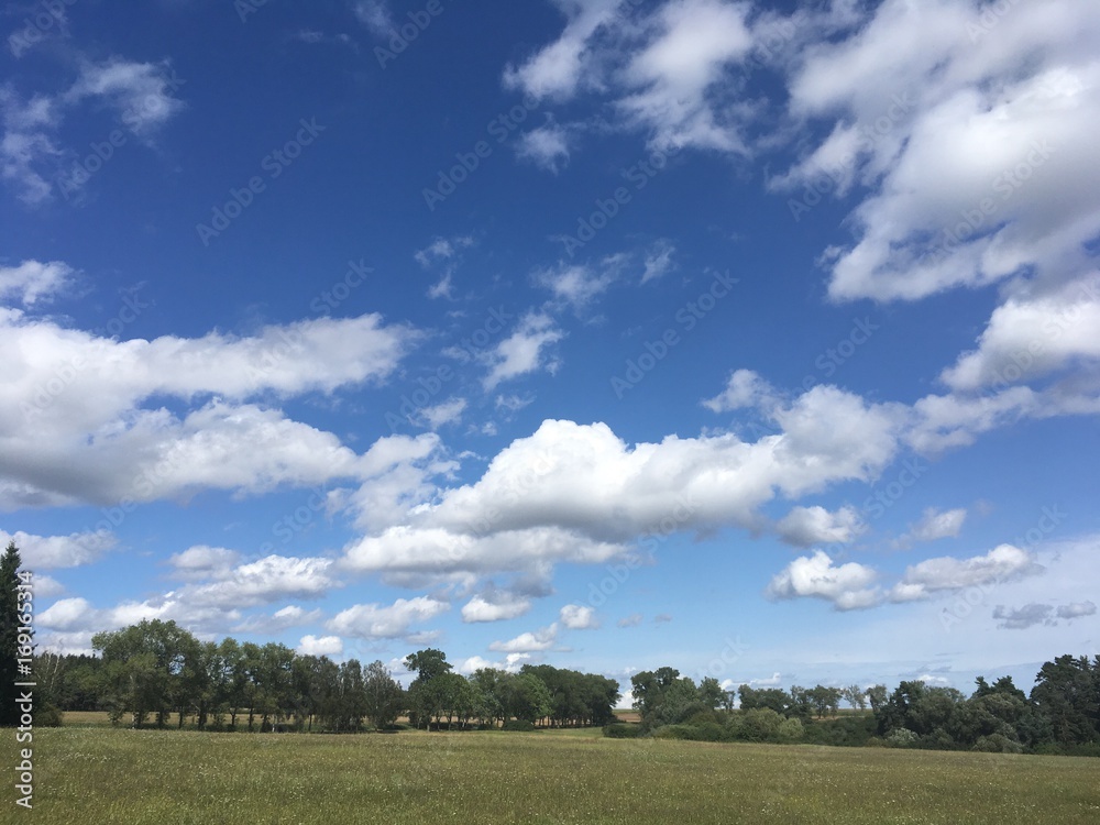 country landscape