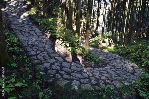 中山道　木曽路　トレイル