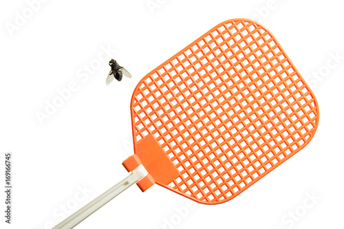 Dead flesh fly is lying on its back next to an orange fly swatter. Isolated on white background.
