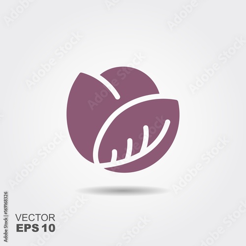 red cabbage flat icon vector, colorful logo illustration isolated on white