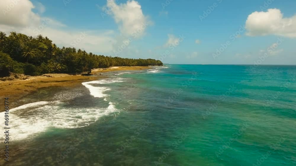 Aerial view Rocky beach with palm trees, blue water on a tropical island. Viewpoint along stony beach with rocks.Stony sea beach scene. Philippines. 4K video. Travel concept. Aerial footage. Aerial view Rocky beach with palm trees, blue water on a tropical island. Viewpoint along stony beach with rocks.Stony sea beach scene. Philippines. 4K video. Travel concept. Aerial footage.